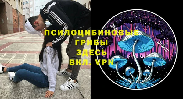 индика Баксан
