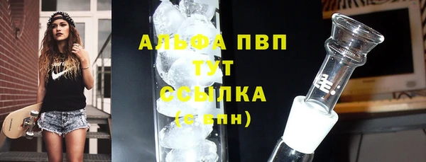 индика Баксан