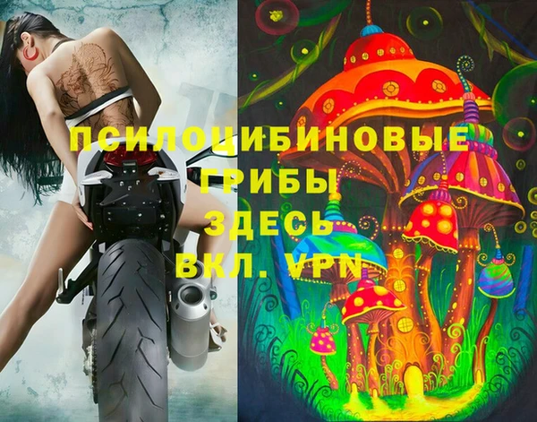 индика Баксан