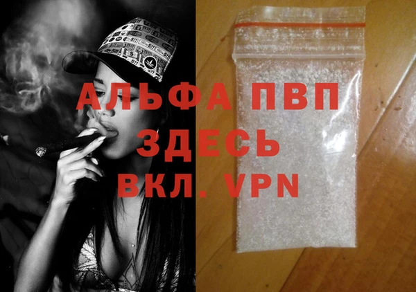 индика Баксан