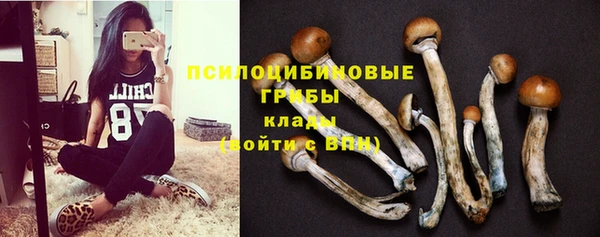 спайс Балабаново