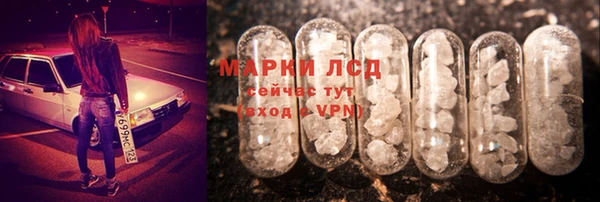 индика Баксан
