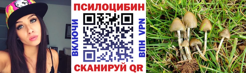 как найти закладки  Горнозаводск  Галлюциногенные грибы GOLDEN TEACHER 